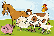 obrazy do detskej izby domace zvieratká